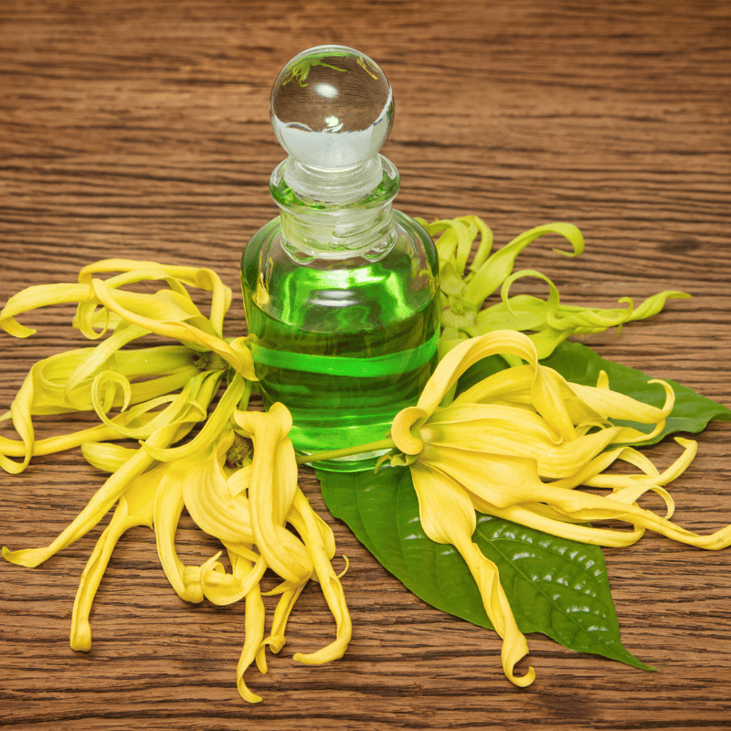 Ylang-Ylang essential oil