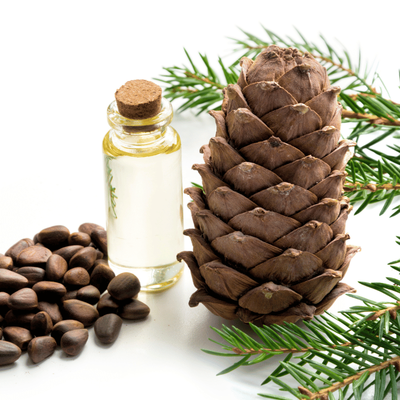 Scots Pine essential oil