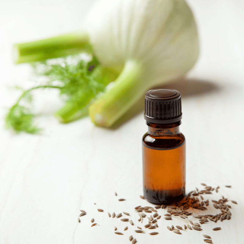 Fennel essential oil