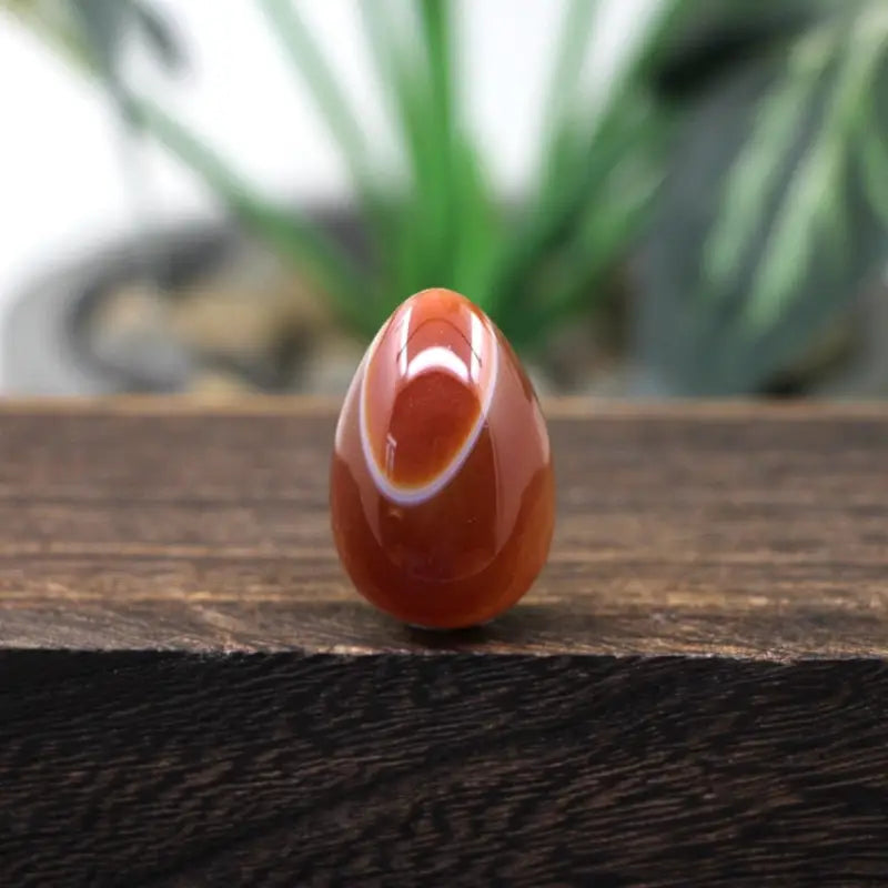 Red Agate Yoni Egg